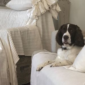 Meet your Posher, Patty